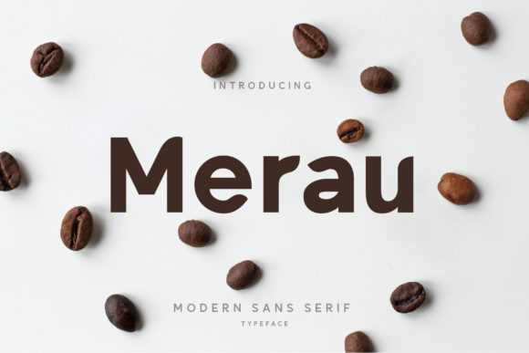 Enhance Your Web Design with Merau Font
